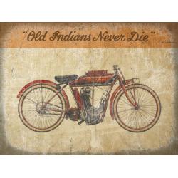 Indian bike